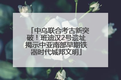 中乌联合考古新突破！班迪汉2号遗址揭示中亚南部早期铁器时代城邦文明