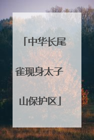 中华长尾雀现身太子山保护区