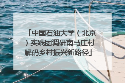 中国石油大学（北京）实践团调研南马庄村解码乡村振兴新路径