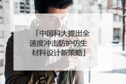 中国科大提出全速度冲击防护仿生材料设计新策略