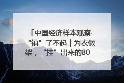 中国经济样本观察·“镇”了不起｜为衣做架，“挂”出来的80亿元“衣架产业”