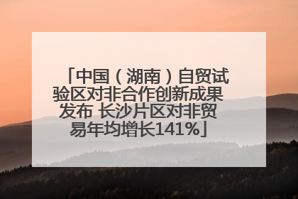 中国（湖南）自贸试验区对非合作创新成果发布 长沙片区对非贸易年均增长141%