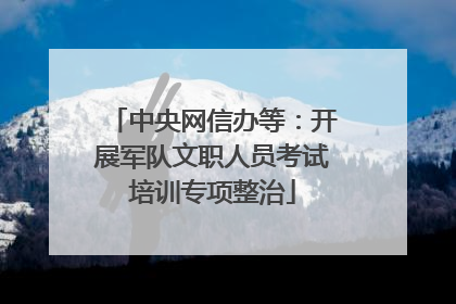 中央网信办等：开展军队文职人员考试培训专项整治