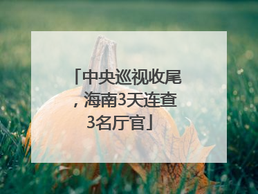 中央巡视收尾，海南3天连查3名厅官