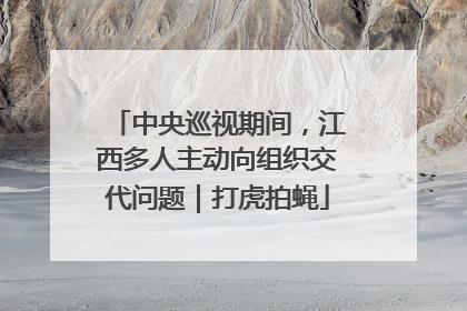 中央巡视期间，江西多人主动向组织交代问题｜打虎拍蝇