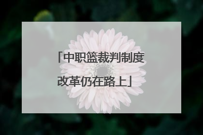 中职篮裁判制度改革仍在路上