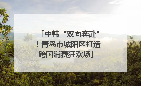 中韩“双向奔赴”！青岛市城阳区打造跨国消费狂欢场