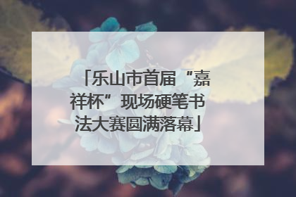 乐山市首届“嘉祥杯”现场硬笔书法大赛圆满落幕
