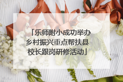 乐师附小成功举办乡村振兴重点帮扶县校长跟岗研修活动