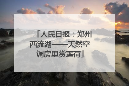 人民日报：郑州西流湖——天然空调房里赏莲荷