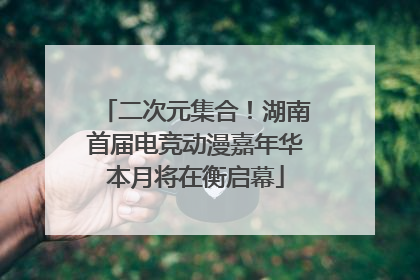 二次元集合！湖南首届电竞动漫嘉年华本月将在衡启幕