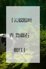 云端粽叶香 鲁疆石榴红