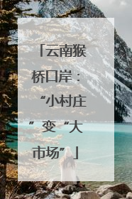 云南猴桥口岸：“小村庄”变“大市场”