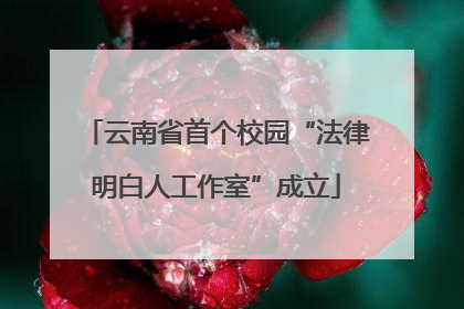 云南省首个校园“法律明白人工作室”成立