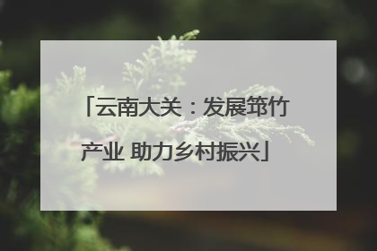 云南大关：发展筇竹产业 助力乡村振兴