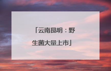 云南昆明：野生菌大量上市