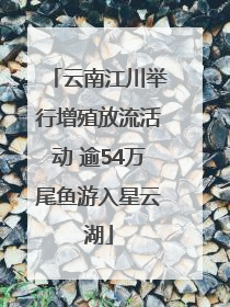 云南江川举行增殖放流活动 逾54万尾鱼游入星云湖