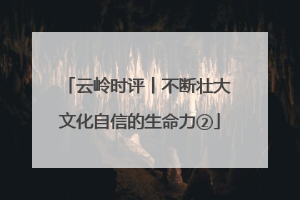 云岭时评丨不断壮大文化自信的生命力②