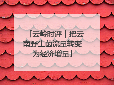 云岭时评｜把云南野生菌流量转变为经济增量