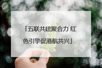五联共建聚合力 红色引擎促港航共兴