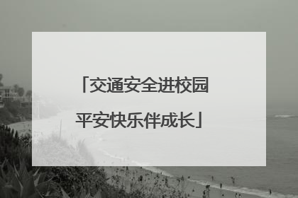 交通安全进校园 平安快乐伴成长