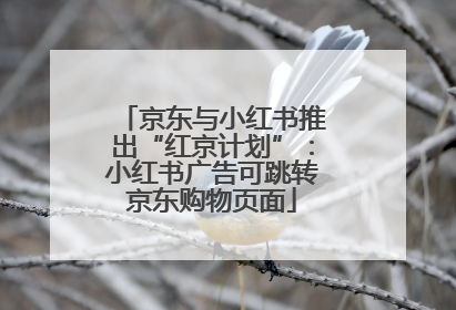 京东与小红书推出“红京计划”：小红书广告可跳转京东购物页面