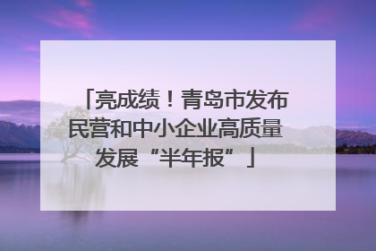 亮成绩！青岛市发布民营和中小企业高质量发展“半年报”