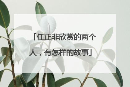 任正非欣赏的两个人，有怎样的故事