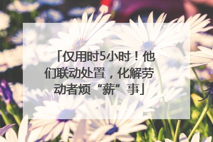 仅用时5小时！他们联动处置，化解劳动者烦“薪”事
