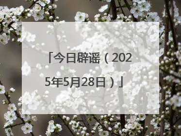 今日辟谣（2025年5月28日）