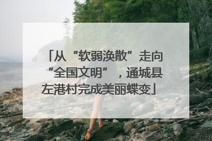 从“软弱涣散”走向“全国文明”，通城县左港村完成美丽蝶变