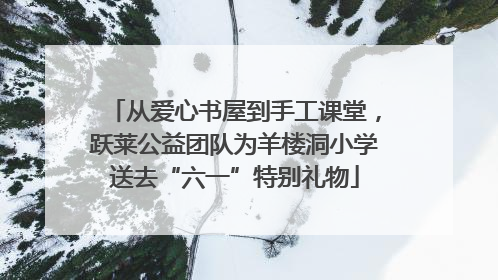 从爱心书屋到手工课堂，跃莱公益团队为羊楼洞小学送去“六一”特别礼物