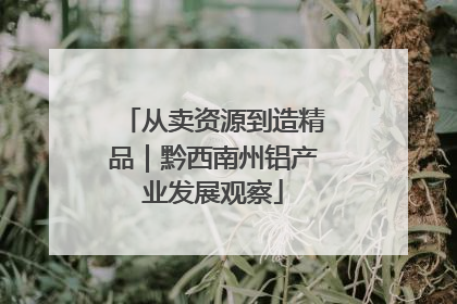 从卖资源到造精品｜黔西南州铝产业发展观察