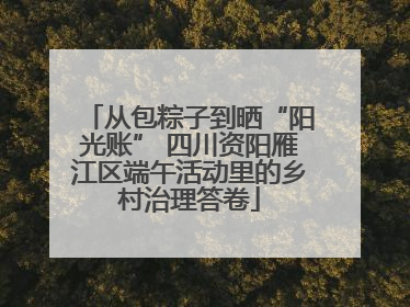从包粽子到晒“阳光账” 四川资阳雁江区端午活动里的乡村治理答卷