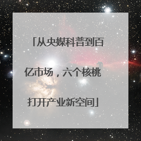 从央媒科普到百亿市场，六个核桃打开产业新空间