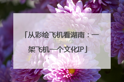 从彩绘飞机看湖南：一架飞机一个文化IP