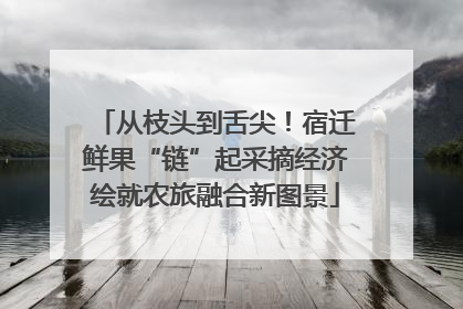 从枝头到舌尖！宿迁鲜果“链”起采摘经济绘就农旅融合新图景