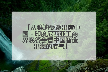 从雅迪受邀出席中国－印度尼西亚工商界晚餐会看中国智造出海的底气