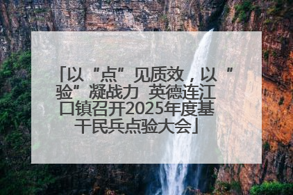 以“点”见质效，以“验”凝战力  英德连江口镇召开2025年度基干民兵点验大会