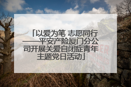 以爱为笔 志愿同行——平安产险厦门分公司开展关爱自闭症青年主题党日活动