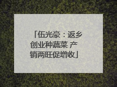 伍光豪：返乡创业种蔬菜 产销两旺促增收