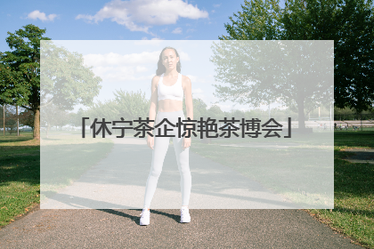 休宁茶企惊艳茶博会