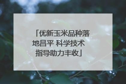 优新玉米品种落地昌平 科学技术指导助力丰收