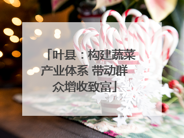 叶县：构建蔬菜产业体系 带动群众增收致富