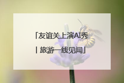 友谊关上演AI秀丨旅游一线见闻