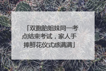 双胞胎姐妹同一考点结束考试，家人手捧鲜花仪式感满满