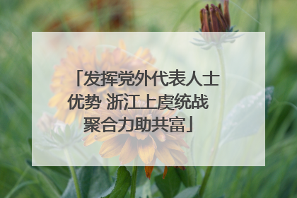 发挥党外代表人士优势 浙江上虞统战聚合力助共富