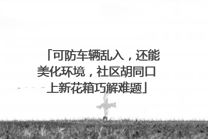 可防车辆乱入，还能美化环境，社区胡同口上新花箱巧解难题