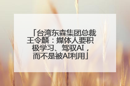 台湾东森集团总裁王令麟：媒体人要积极学习、驾驭AI，而不是被AI利用