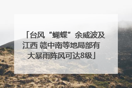 台风“蝴蝶”余威波及江西 赣中南等地局部有大暴雨阵风可达8级